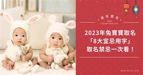 2023兔年寶寶取名|2023年兔寶寶新生兒取名禁忌：筆劃數、生肖喜用字 玉兔呈祥吉。